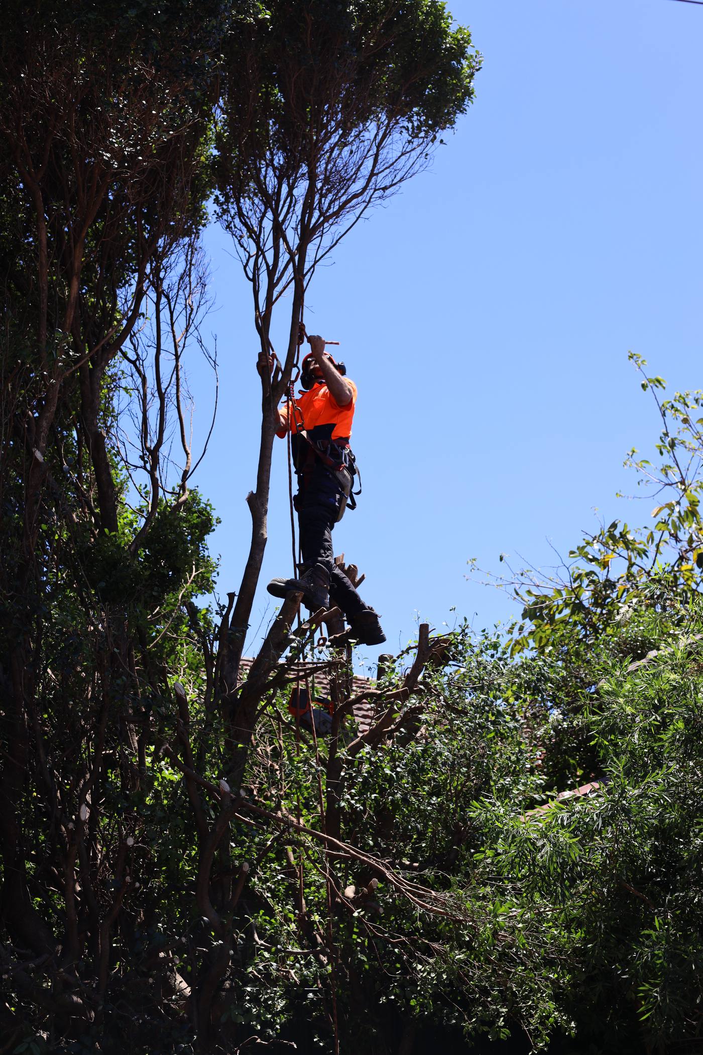 Climber working a section ahead of a lift