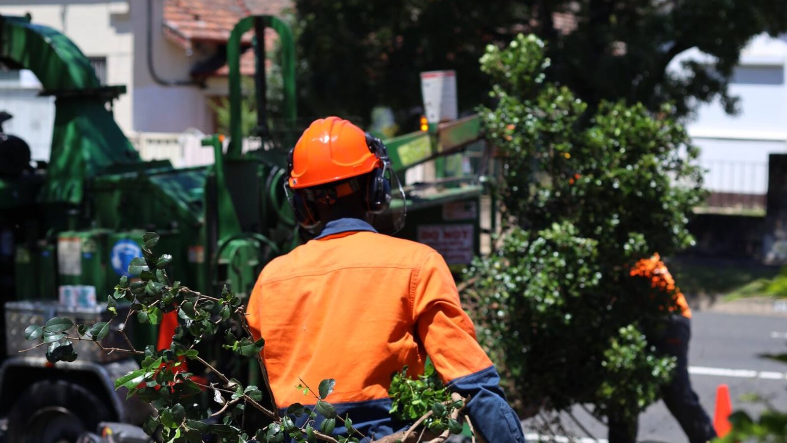 True Blue crew clearing hedge cuttings with the truck-mounted chipper on site