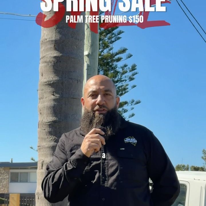 OUR SPRING SALE IS ON!