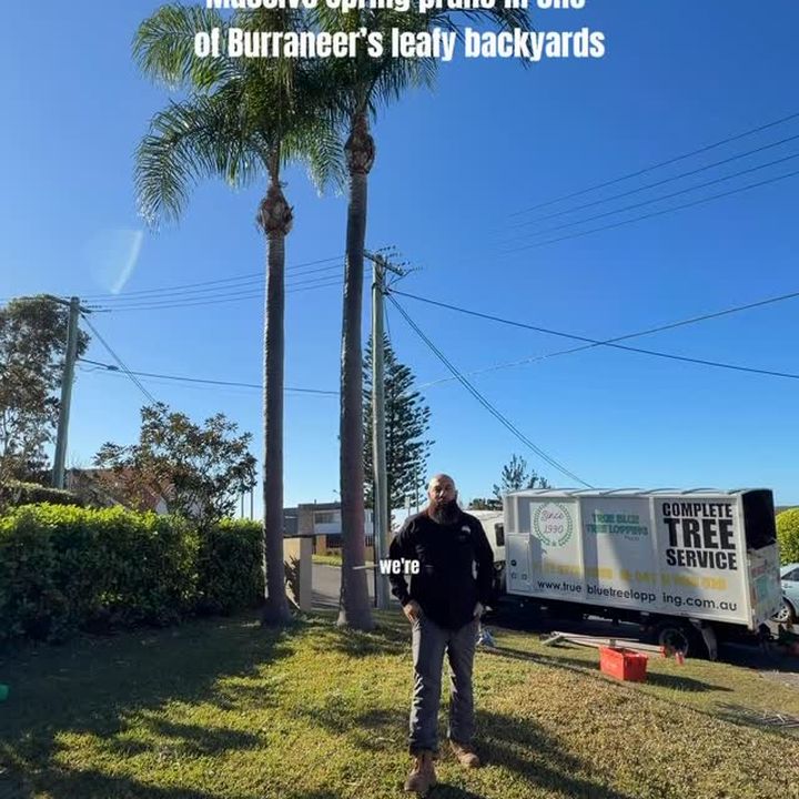 Massive spring pruning in Burraneer!
