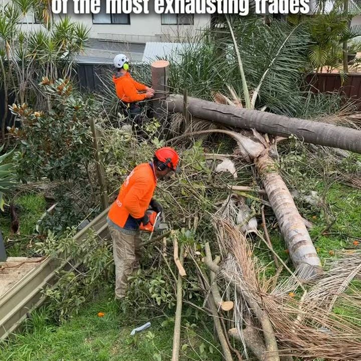 Open debate: We reckon tree lopping is one of the hardest trades out there… but what do you reckon?