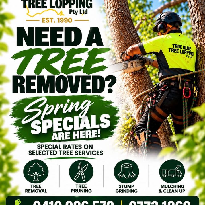 True Blue Tree Lopping job on Instagram