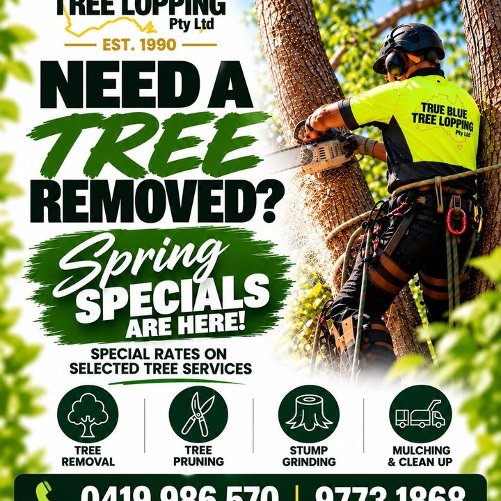SPRING SPECIALS ARE HERE!